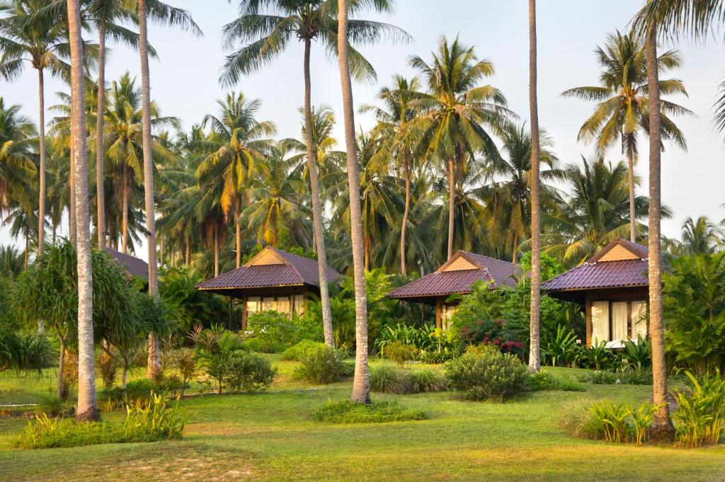 Surrounding environment