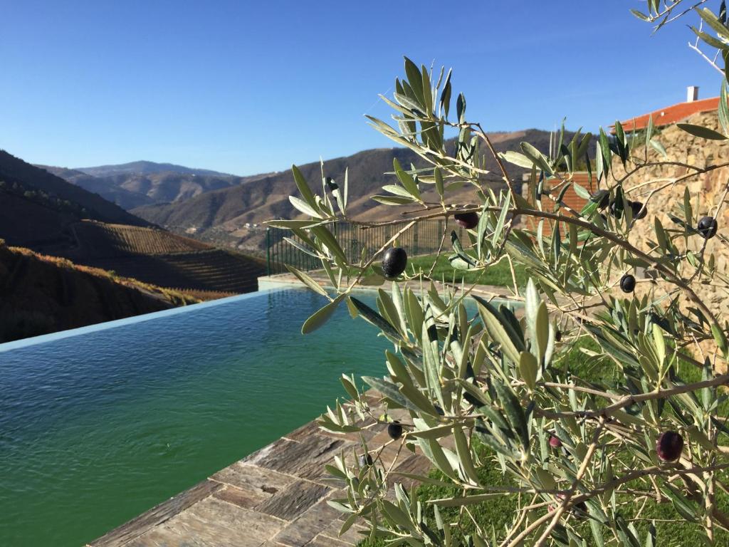 Quinta da Gricha photo