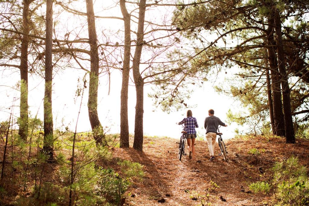 Surrounding environment