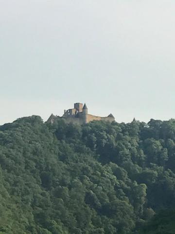 Ảnh 5
