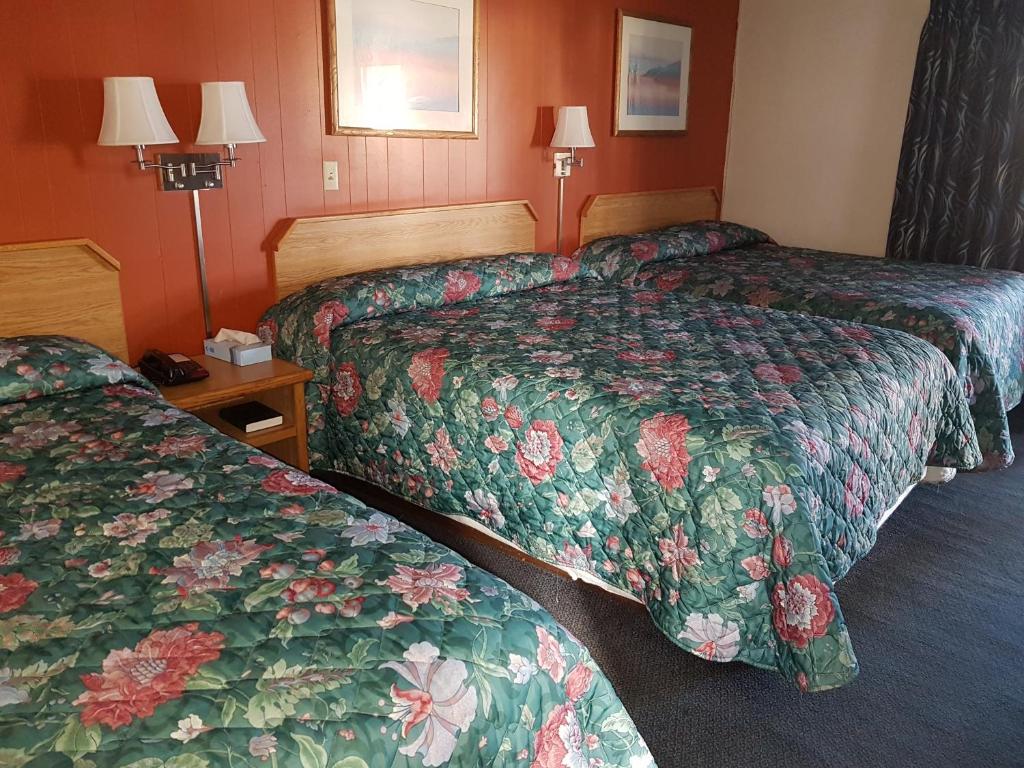 Townhouse Motel photo