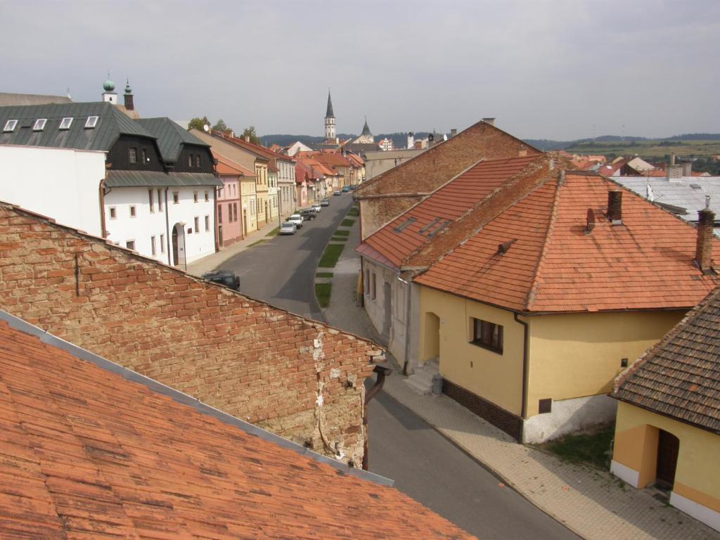 Zeleni domcurik photo