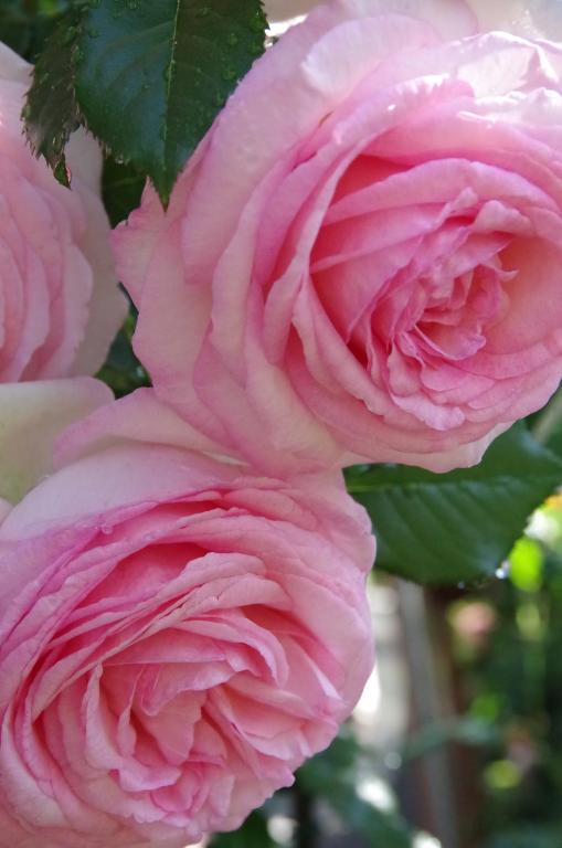 Surrounding environment