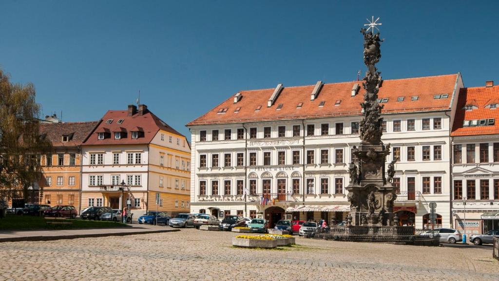 Hotel Prince de Ligne — Hotel in Teplice