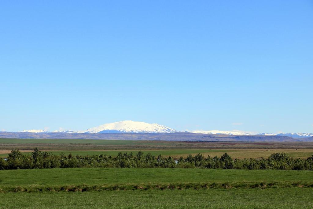 Surrounding environment