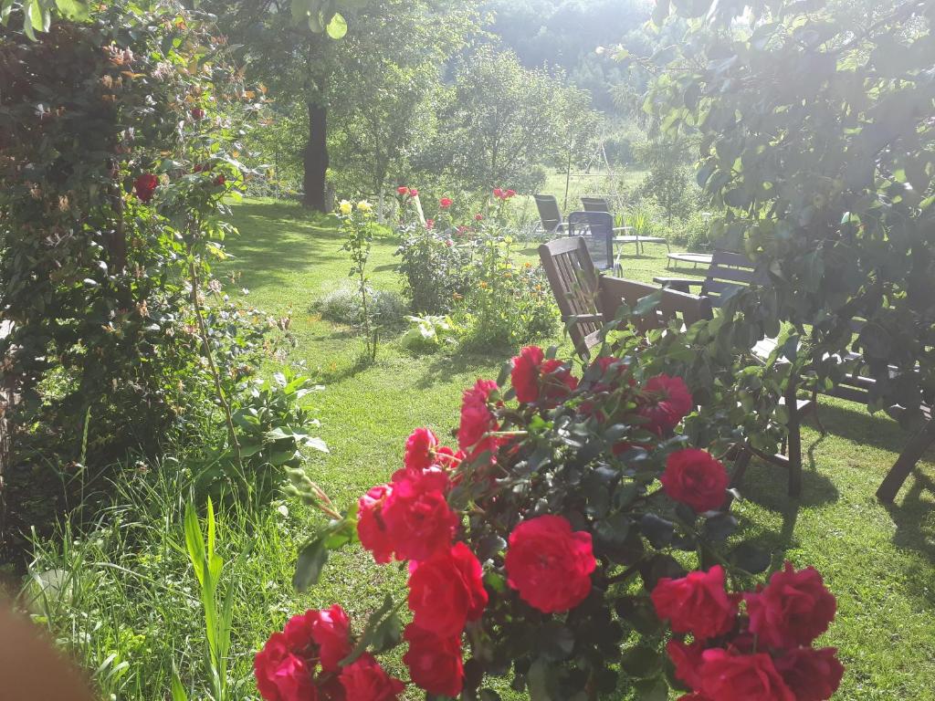 Guest House Family Varda Plitvice Lakes — Hotel in Plitvicka Jezera