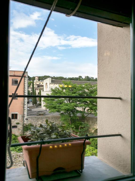 Galligants Apartment - 4