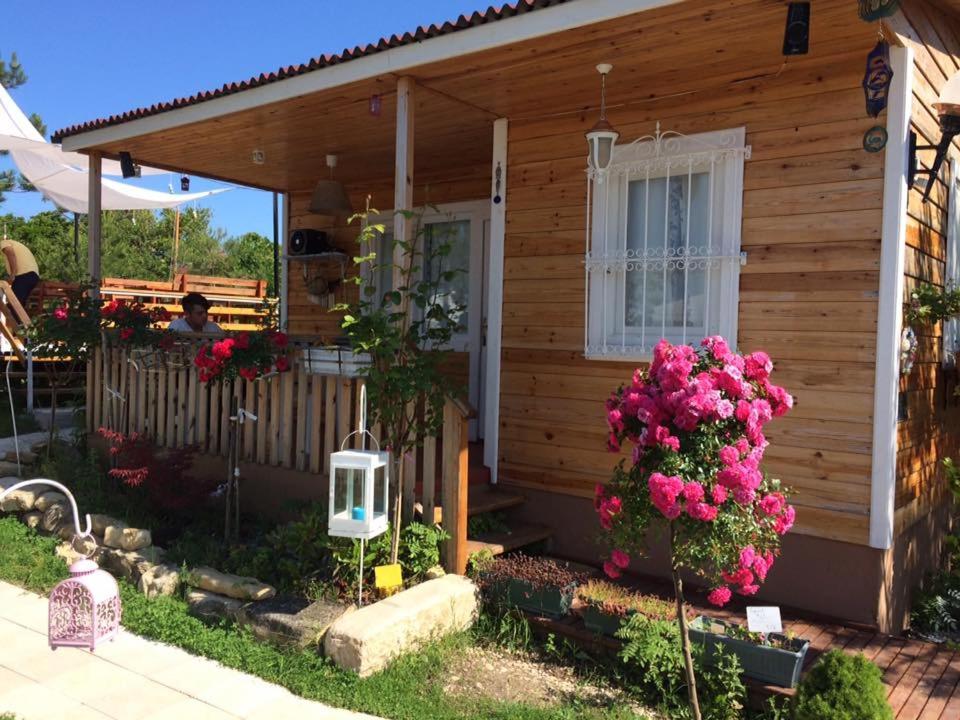 piretun evler in gerze turkey reviews prices planet of hotels piretun evler in gerze turkey reviews prices planet of hotels