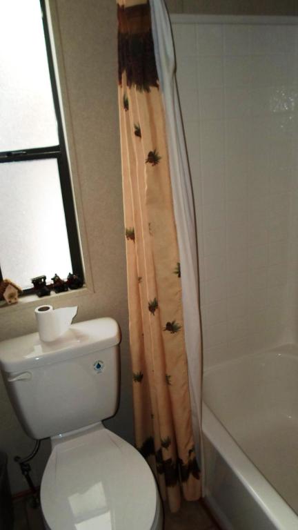 Cedar Pines Resort photo