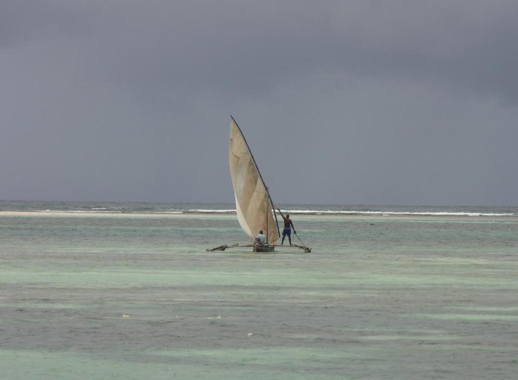 Jamboland-Diani photo