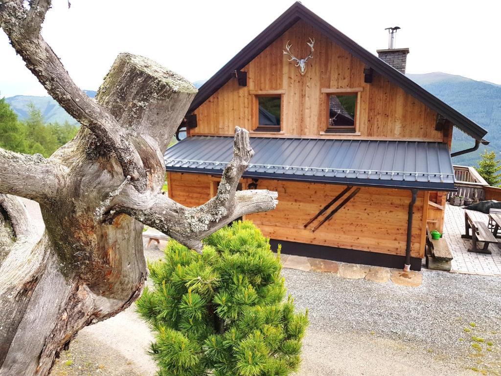 Almhütte Kristabauer - 3