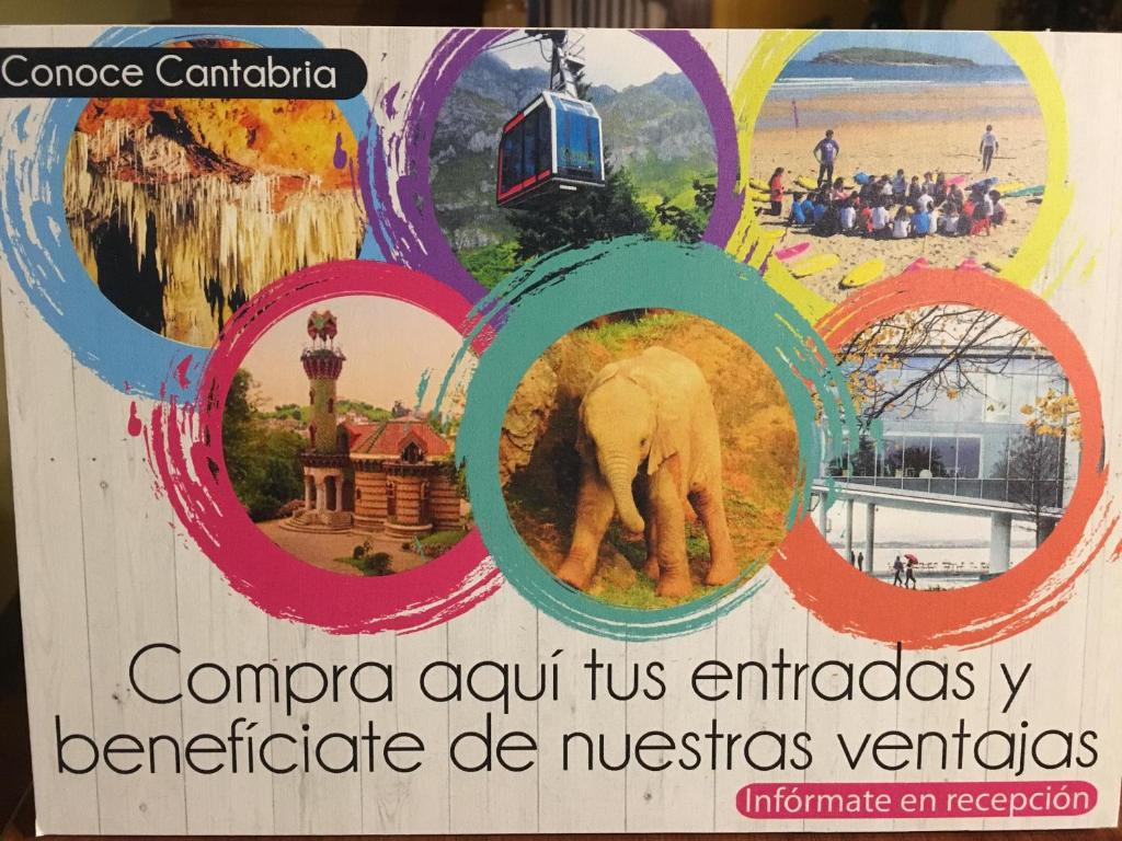 アクティビティ