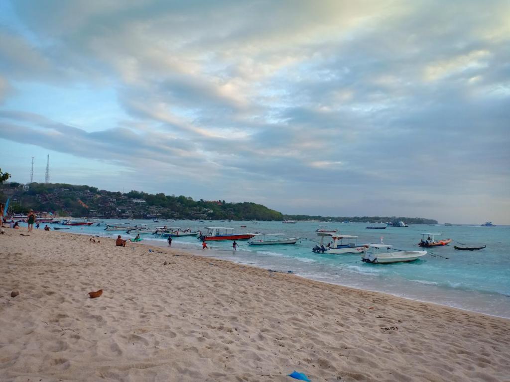 Dwiki Putra Home Stay photo