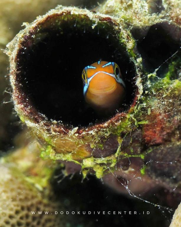 Sport und Aktivitäten