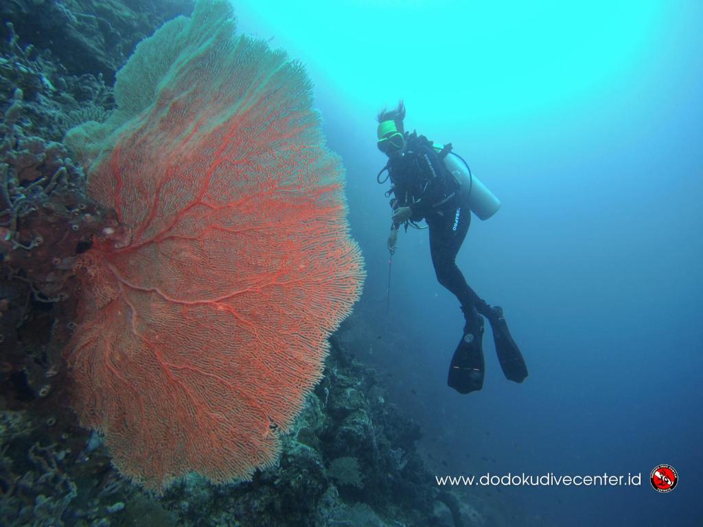 Sport und Aktivitäten