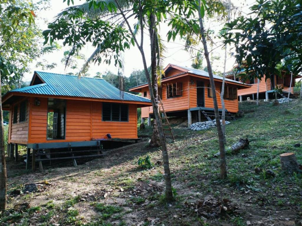 Long Titi Homestay photo