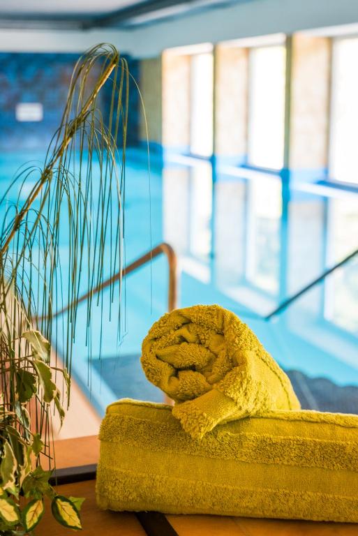 MOOKI Mountain & Pool Gerlitzen Apartment - 3