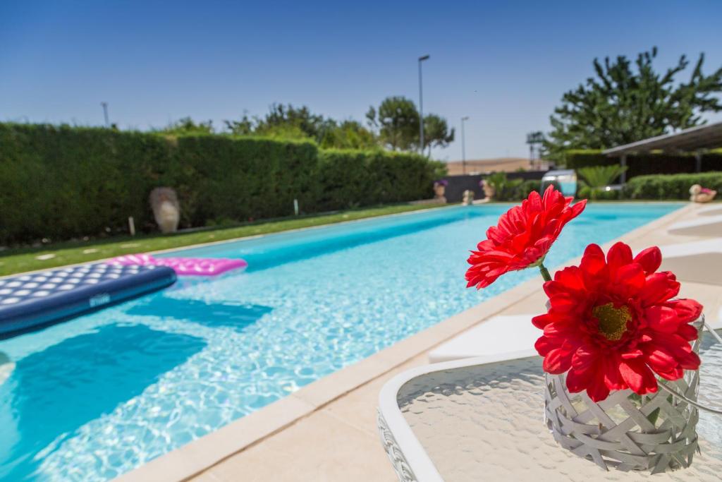 Casa Vacanze Un Tuffo Nel Blu - 3