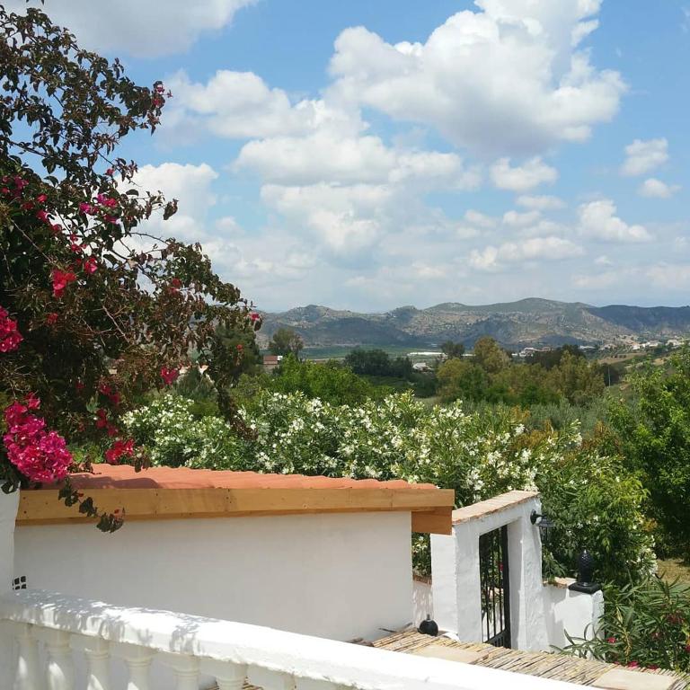 Finca Rayo del Sol - 5