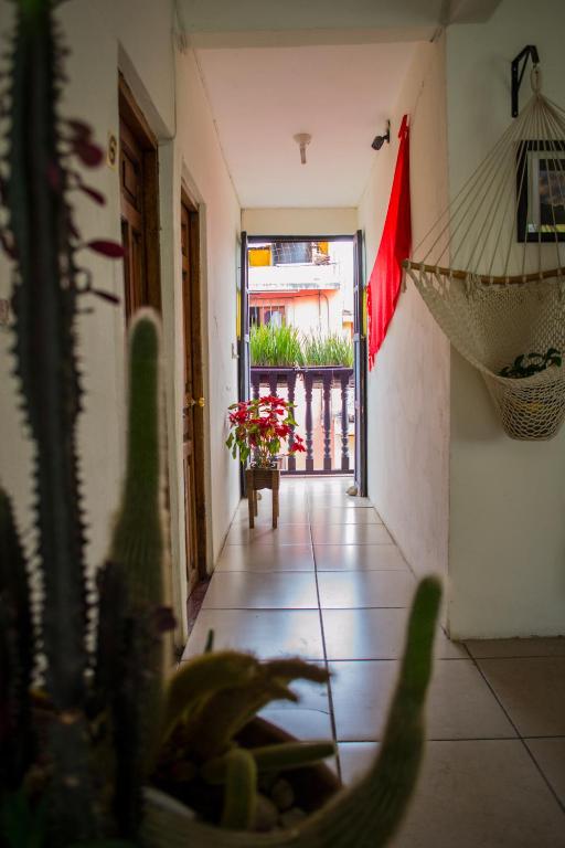 Hotel Casa Mia photo