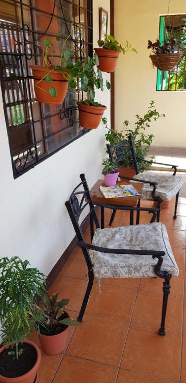 Hostel Dodero photo