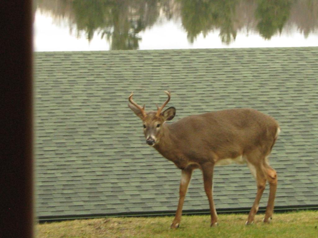 Pine Knoll Hotel Lakeside Lodge & Cabin photo