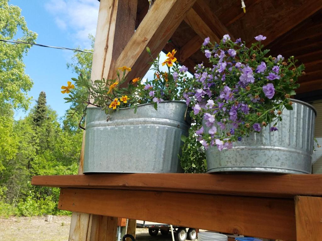 Cache Cabins photo