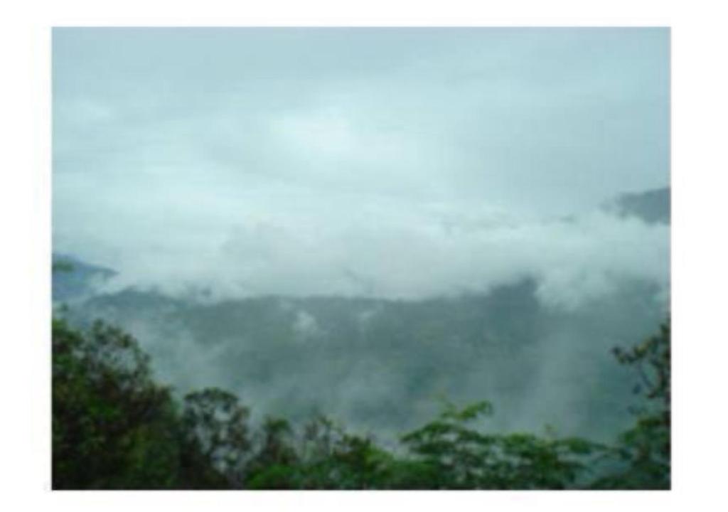 Mountain Facing Rooms in Shimla photo