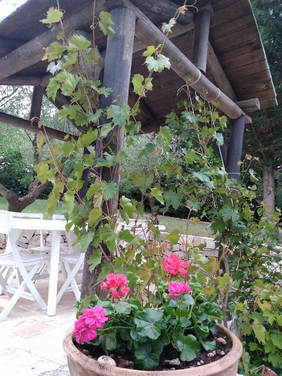 Trulli Villa Gloria - 4