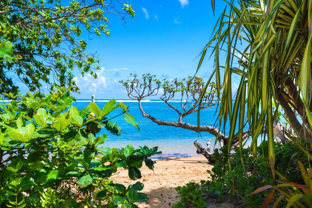 Anini Ohana Hale TVNC#4255, Kilauea