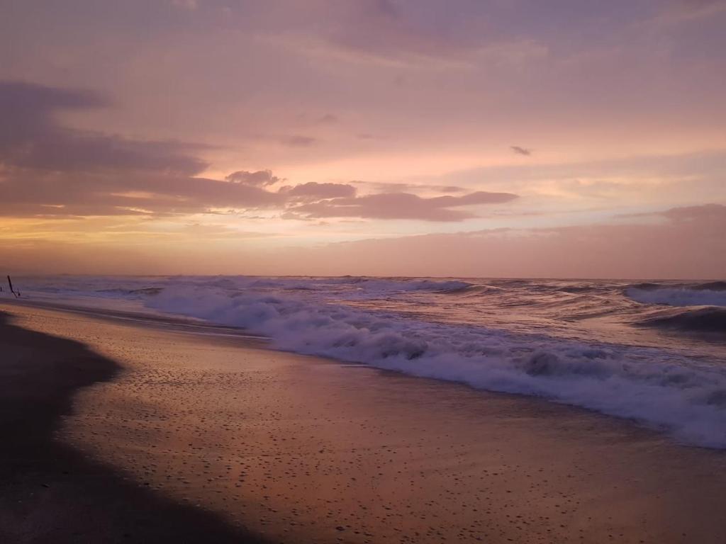 Los Hermanos Beach Hostal photo