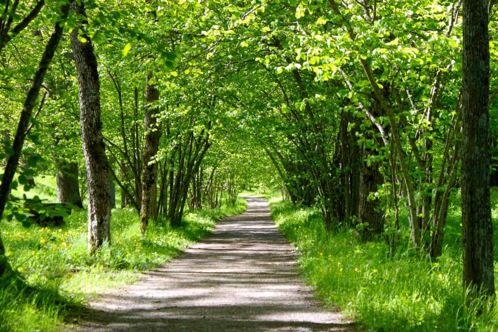 Sports and activities, Notholmen, Tyreso in Tyresö