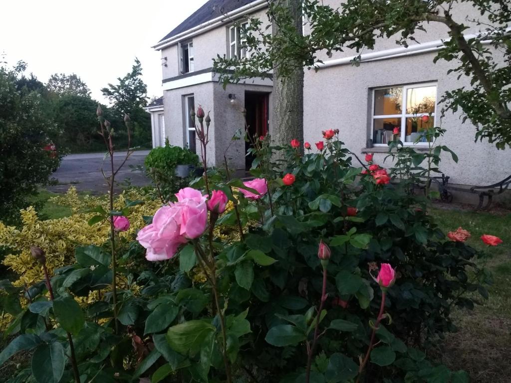 Lisieux House on Lough Neagh photo
