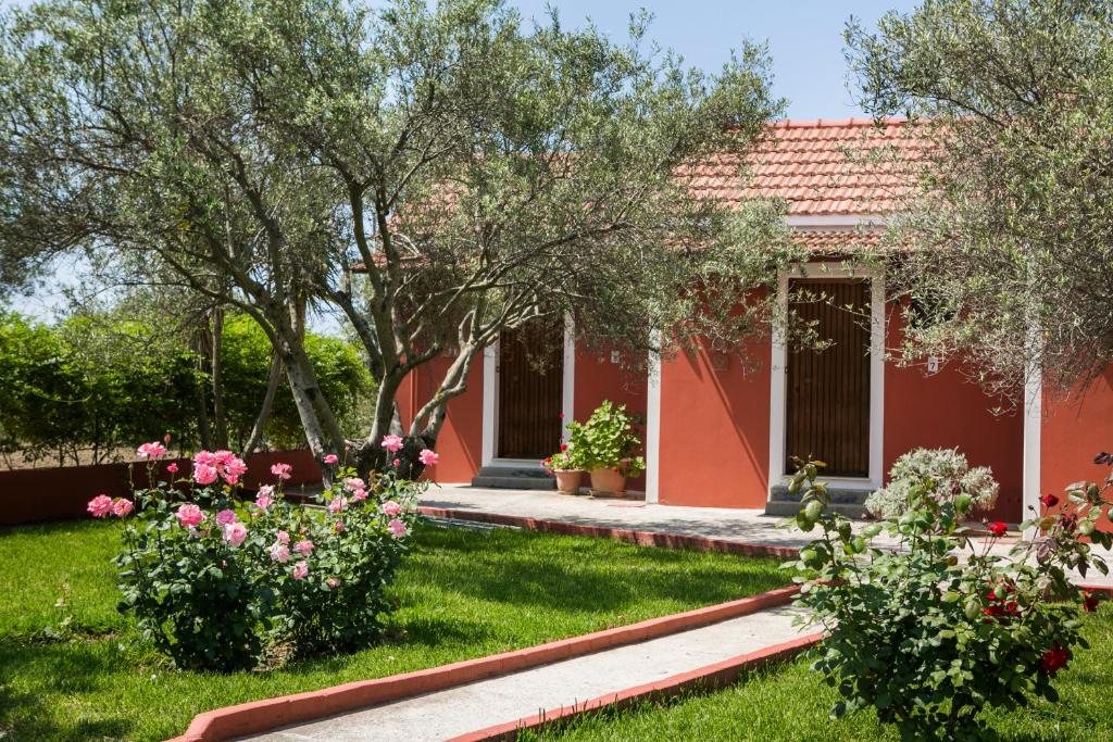 Exterior view, Dendrolivano in Kefalonia