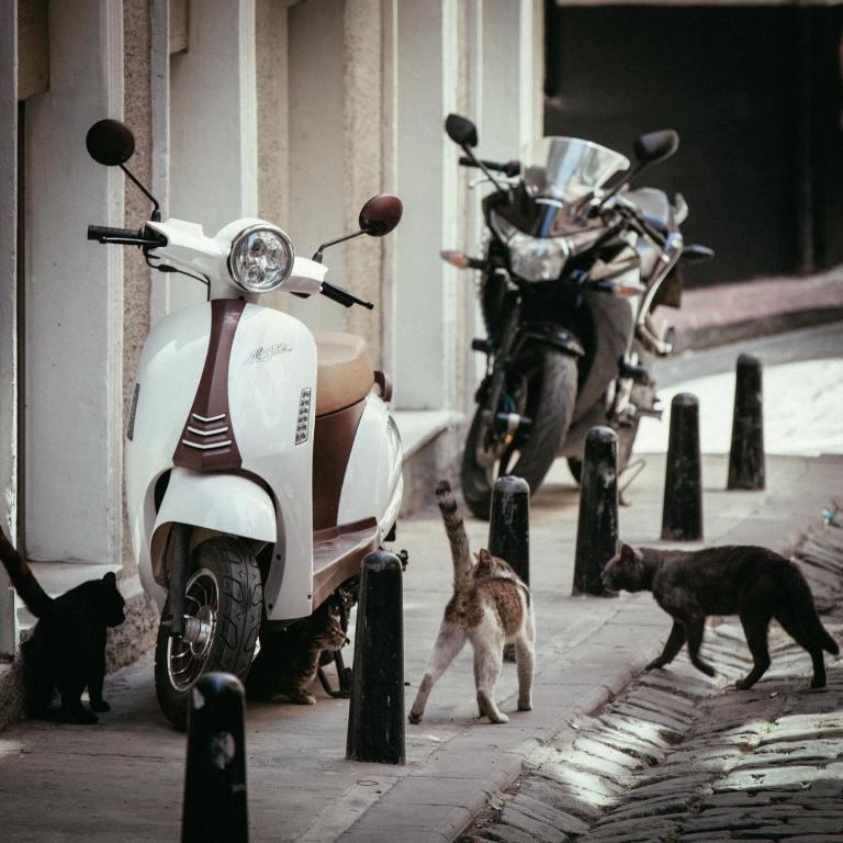 บริการและสิ่งอำนวยความสะดวก