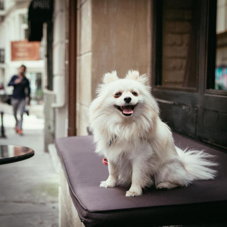 ระเบียง/ชานเรือน