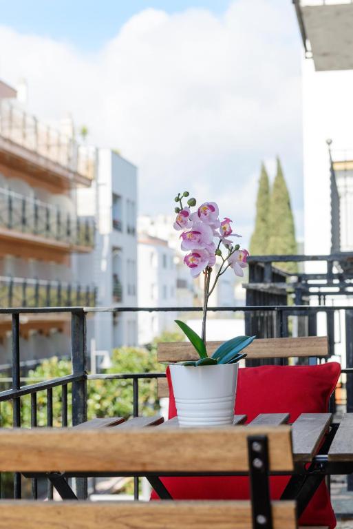 NS Apartaments - 2