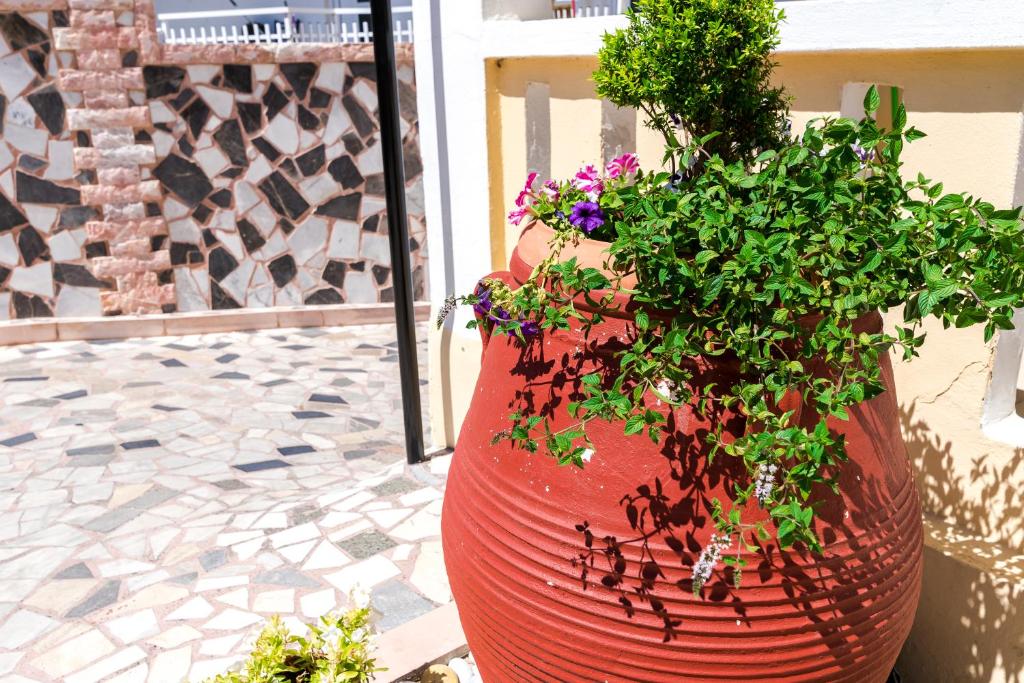 Erato Hotel Apartments photo