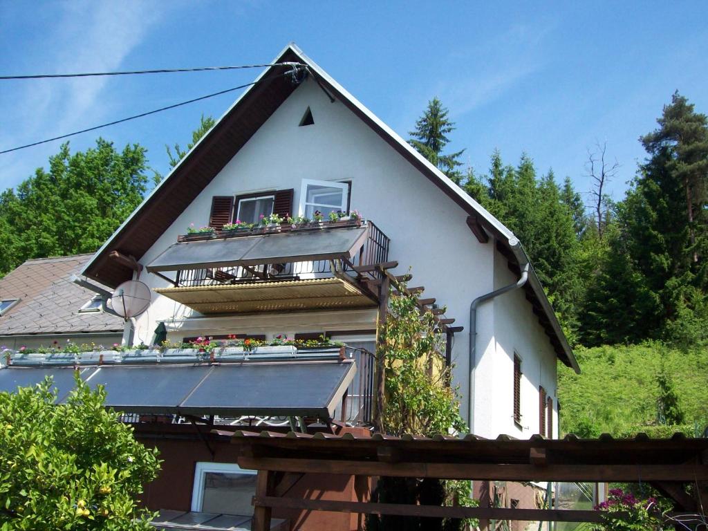 Riedl Gästewohnung - 4