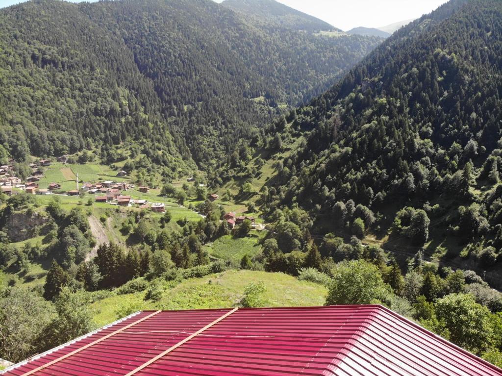 Badul Apart photo