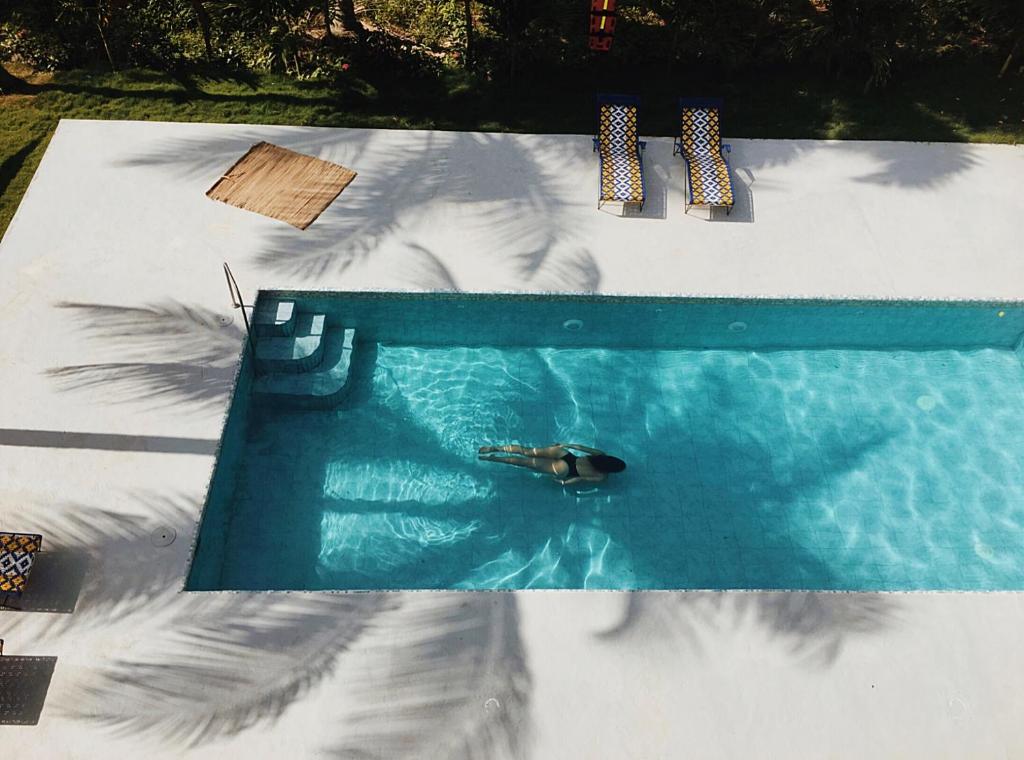 Casa del Pavo Real Boutique Hostel — Hotel in Palomino