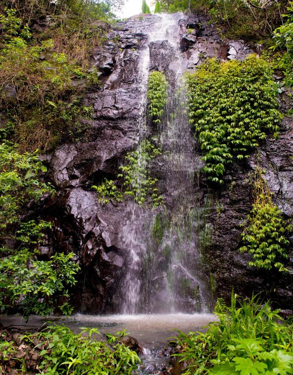Nimbin waterfall retreat — Hotel in Nimbin