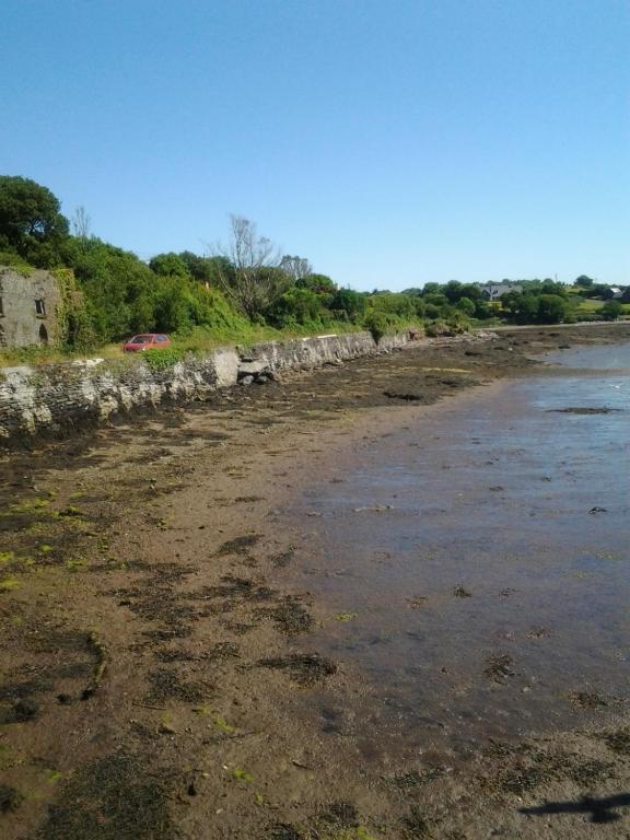 Sea Lodge B&B photo