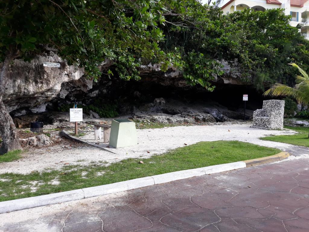 Surrounding environment