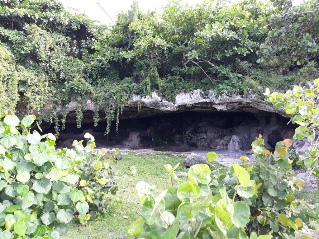Nearby attraction