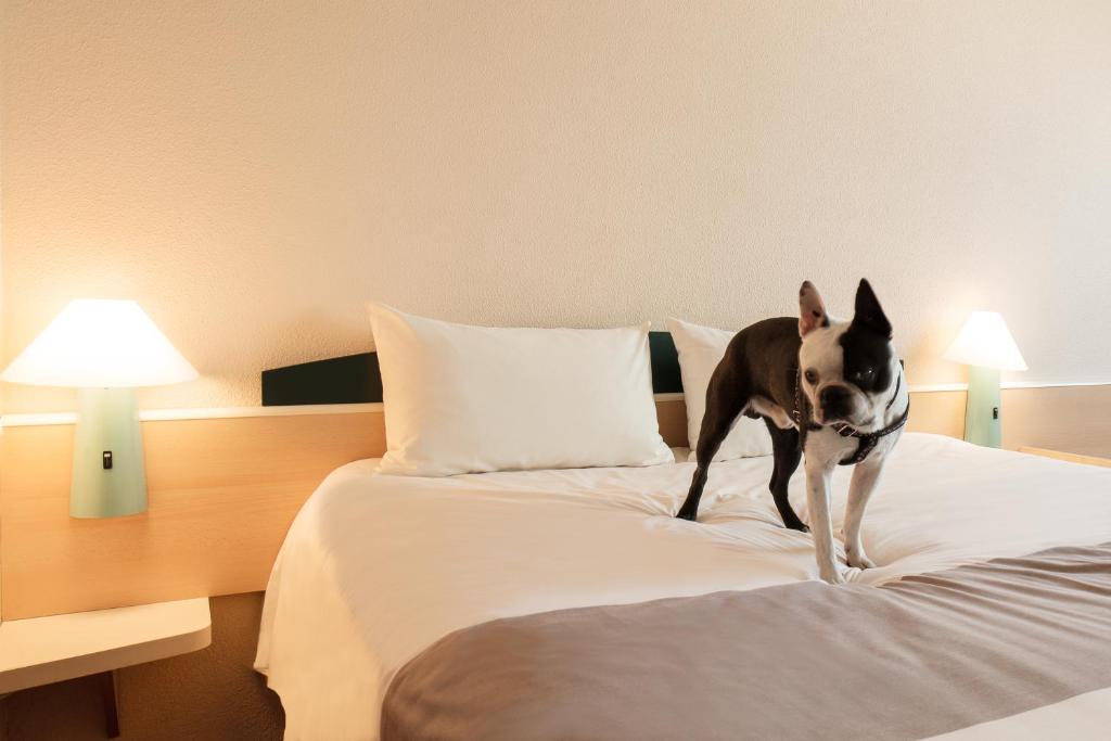 Hotel Ibis Łódź Centrum Photo 6