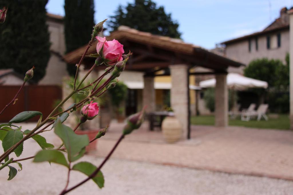 Il Cortile delle Rose Holiday House - 5