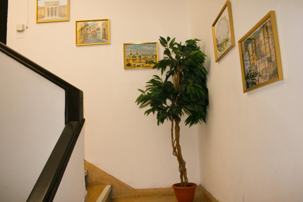 Xanthis Hostel Nicosia City Centre photo