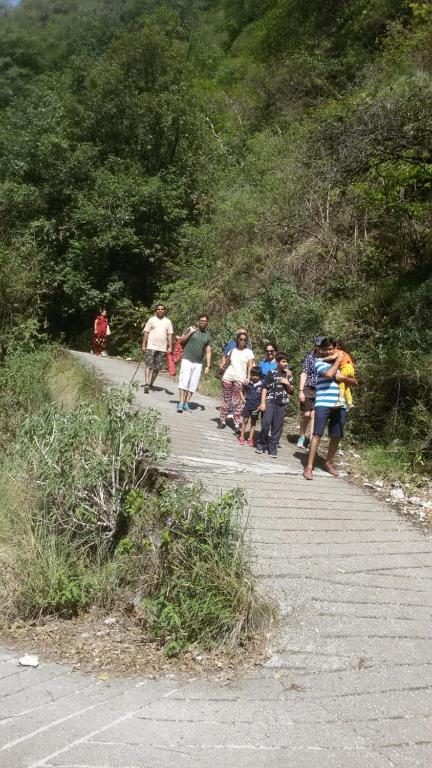 アクティビティ