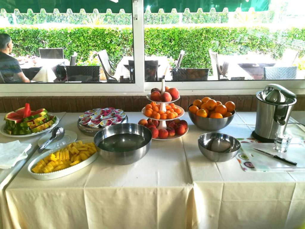 Hotel Michela photo